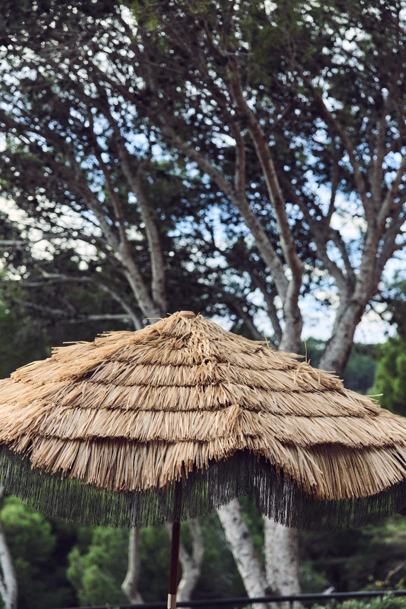 Serengeti Umbrella - Image 2